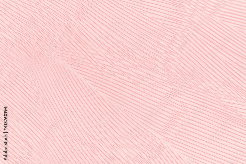 Fototapeta premium Beautiful light pink feather pattern texture background