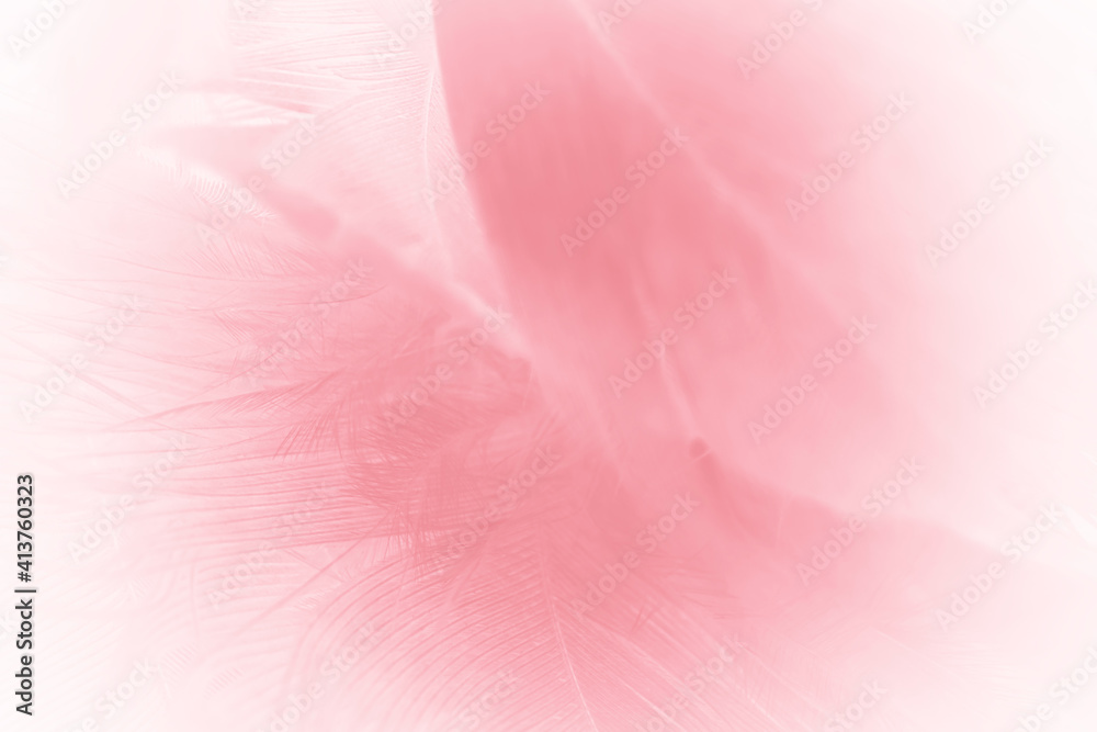 Beautiful light pink feather pattern texture background Beautiful light pink feather pattern texture background