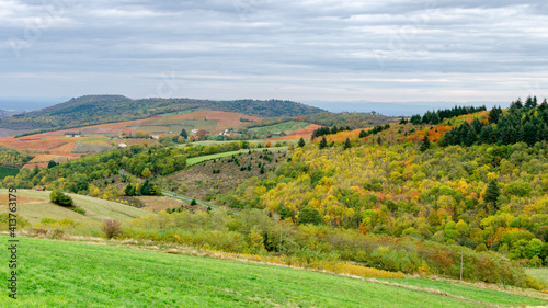 Fototapeta Naklejka Na Ścianę i Meble -  autumn colors in Beaujolais