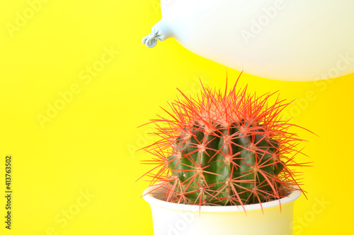 Cactus and air balloon on c...