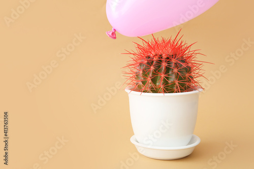 Cactus and air balloon on c...