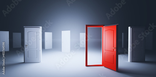 Cuadro en lienzo Choose open door. Choise and decision in life