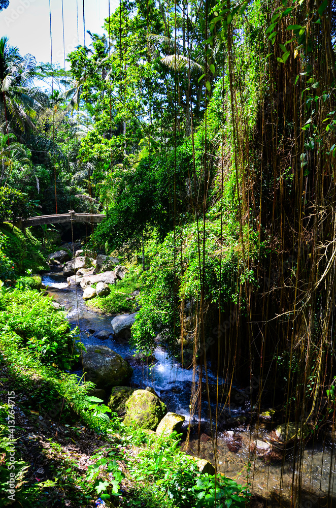 Fototapeta premium The view of the Gunung Kawi temple in Bali, Indonesia