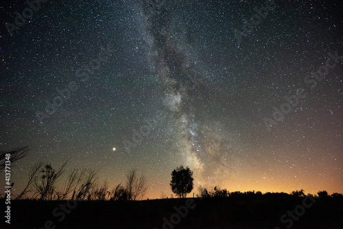 Natural skyline during the night - Forest with the milky way as background