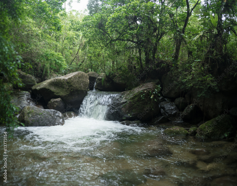 Fototapeta premium waterfall in the forest