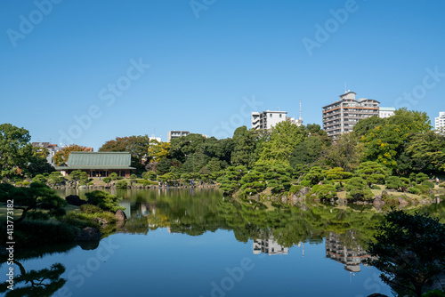 冬の清澄庭園と青空の風景