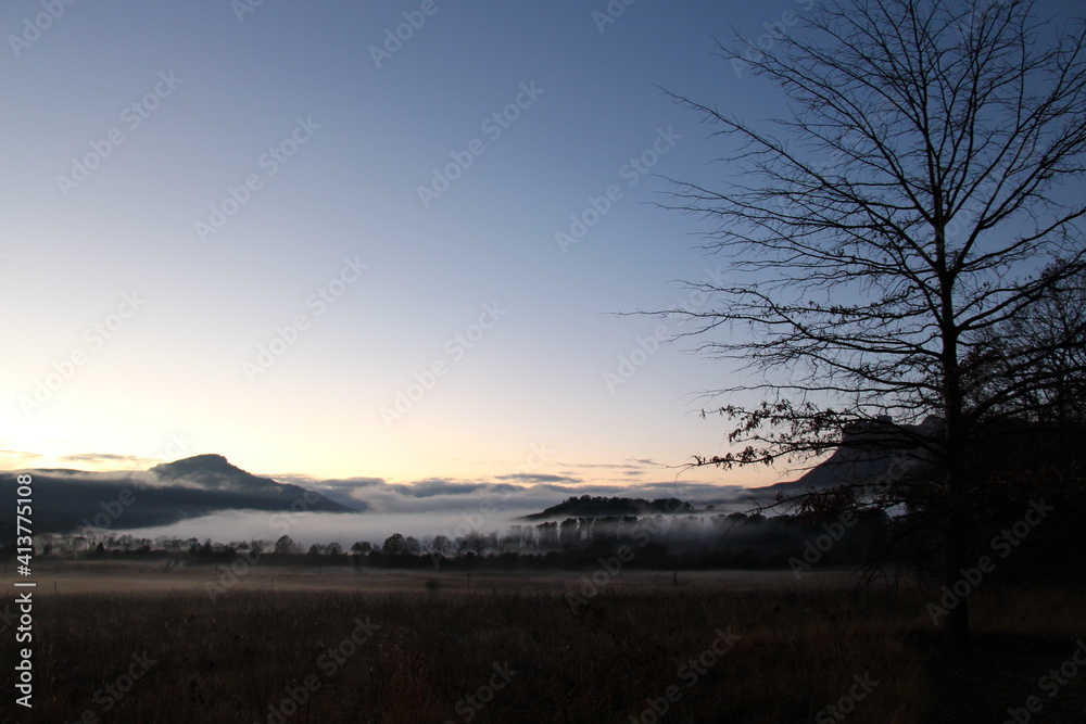 Fototapeta premium early morning mist