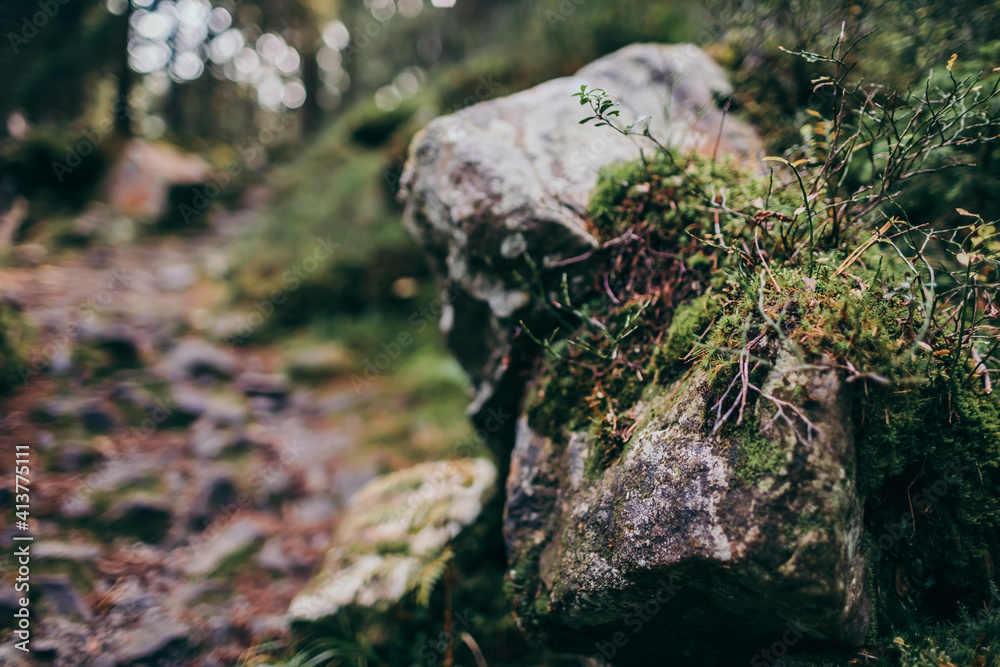 A close up of a rock a mountain