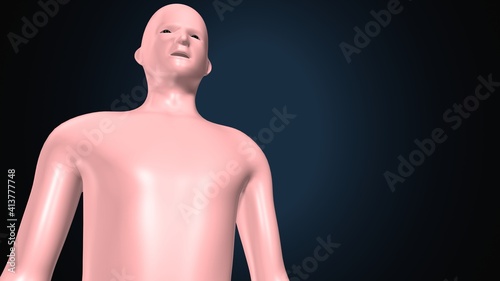 3d render of human body male anatomy. photo