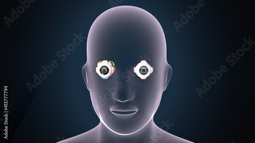 3d render of male human body eye anatomy.  © PIC4U