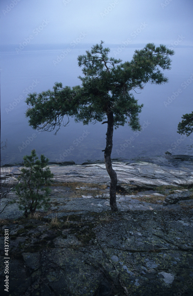  Landschaft am Oslo-Fjord (Hvervenbokt) nahe dem Vorort Holmlia bei Oslo *