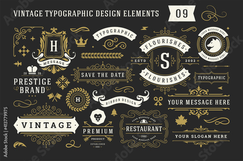 Vintage typographic decorative ornament design elements set vector illustration