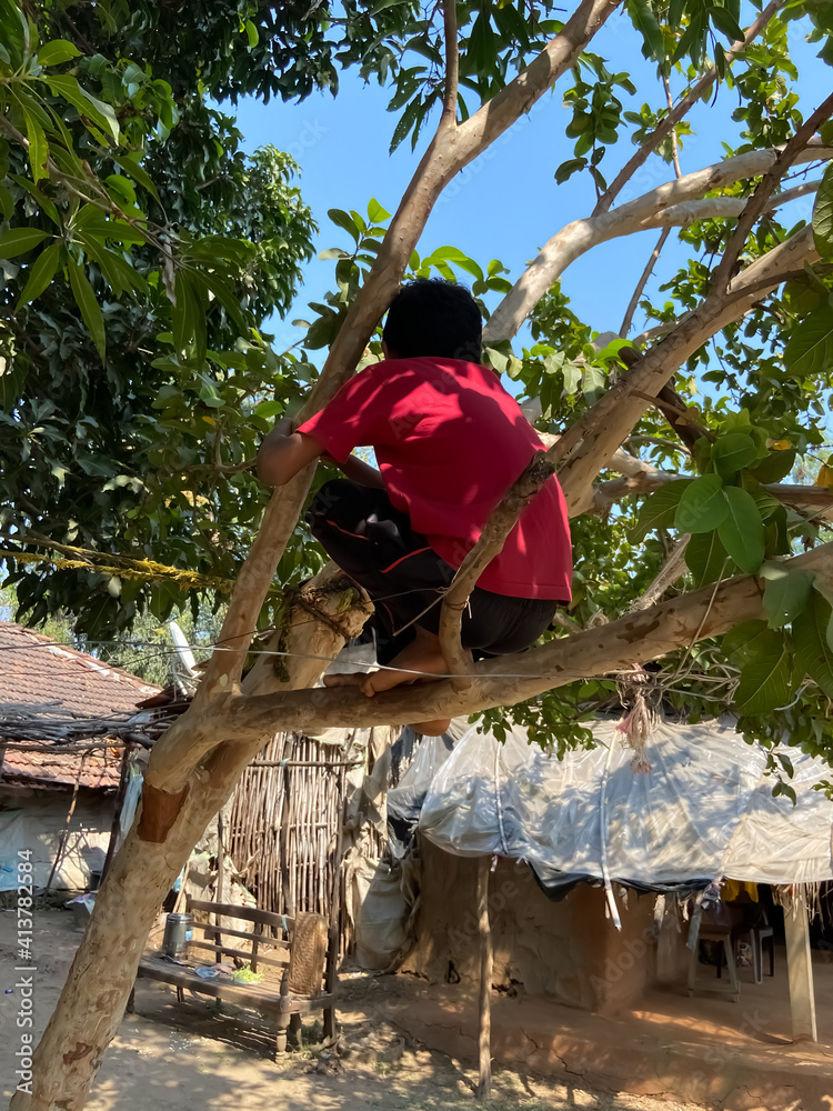The boy climbed out on a tree. Child safety. Childhood in the village. Climb the trees. Athletic boy The boy climbed out on a tree. Child safety. Childhood in the village. Climb the trees. Athletic boy