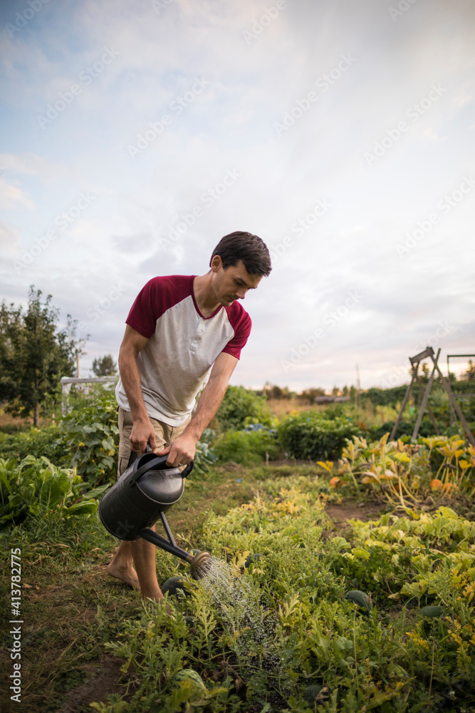 Man watering plants at community garden against sky Man watering plants at community garden against sky
