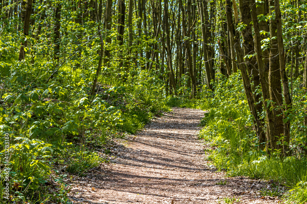 Obraz premium Karstwanderweg im Harz