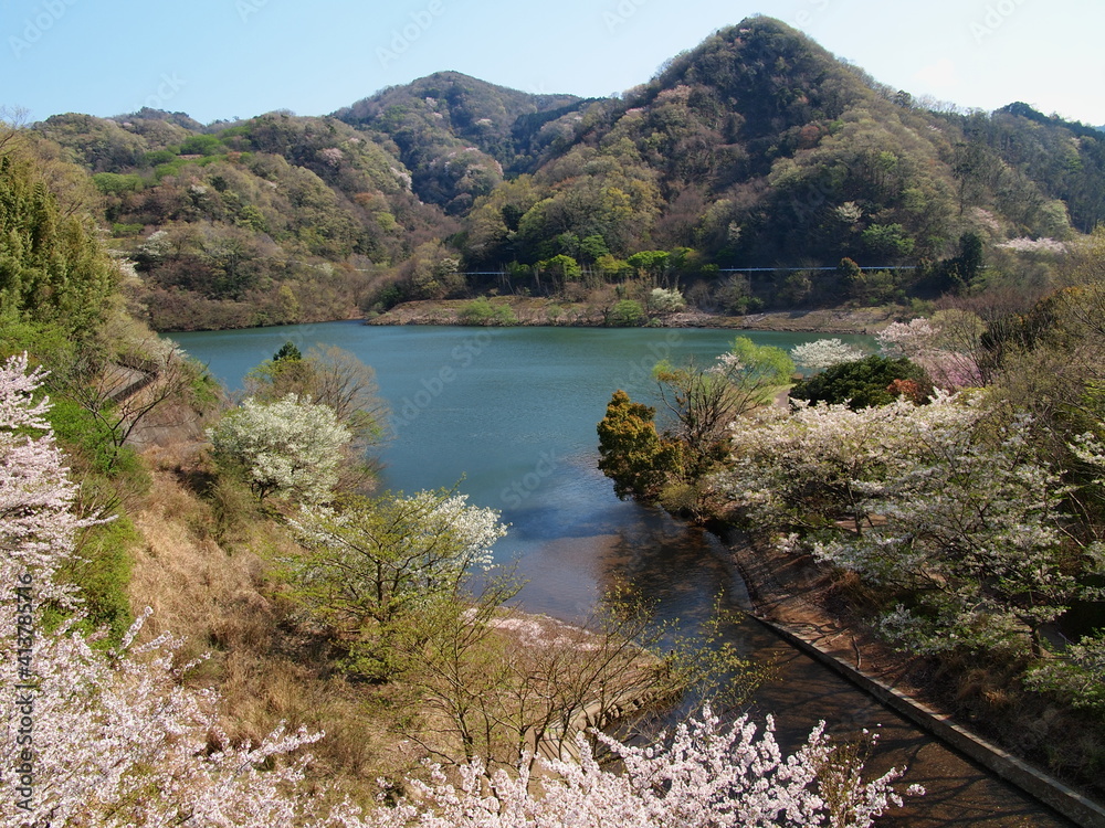 Obraz premium 松川湖にも春の訪れ