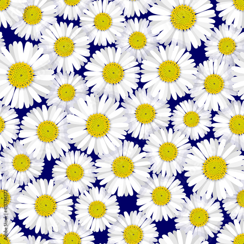 Seamless pattern with detailed vector illustrations of closely packed daisy blooms on a navy blue background.