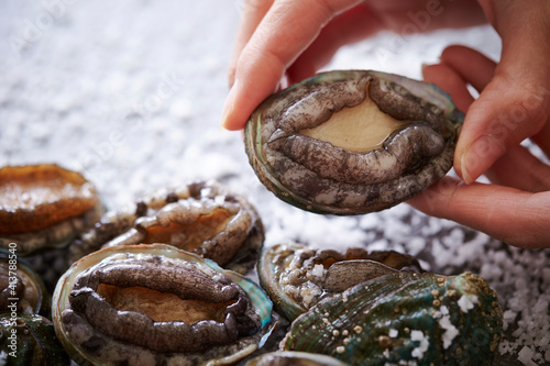 Quadro su tela Fresh raw abalone on the chef's hand