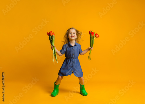 happy little girl in a blue dress and rubber boots stands and holds red tulips on a yellow background with a copy of the space