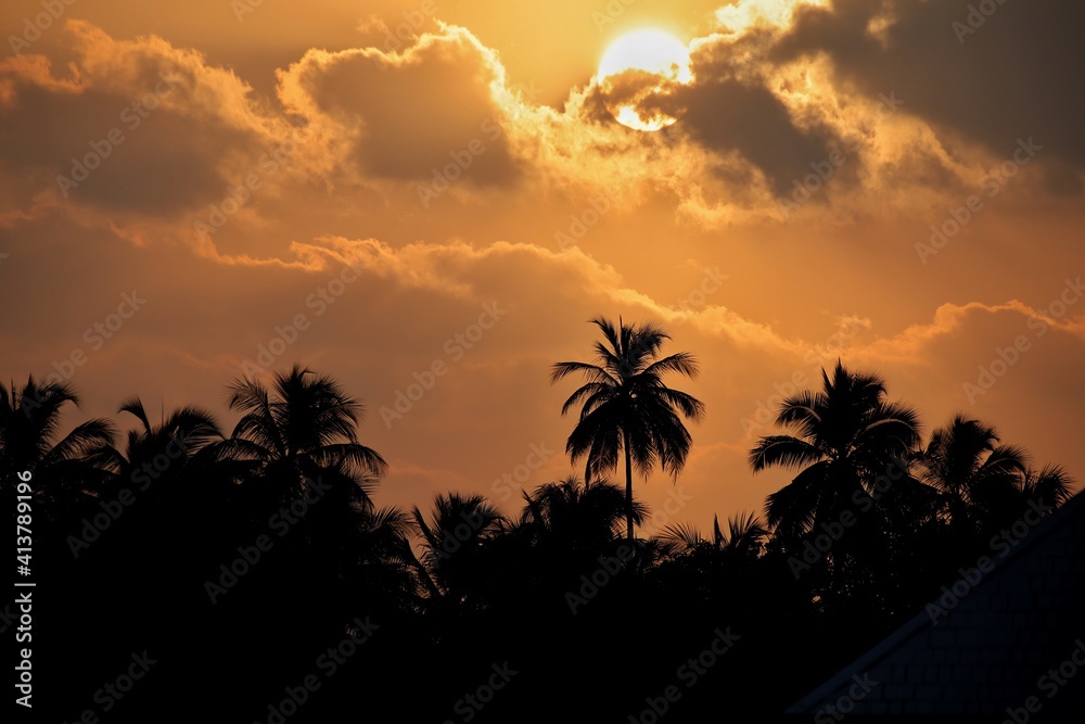 Dream sunrise over palmtrees closeup in Maldives
