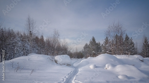 Winter landscape sunset in the forest with snowy field in the foreground. © Anatoliy