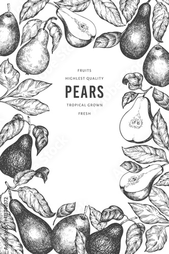 Pear design template. Hand drawn vector garden fruit illustration. Engraved style garden retro botanical banner.