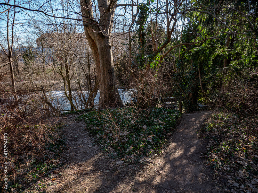 Naklejka premium Two paths