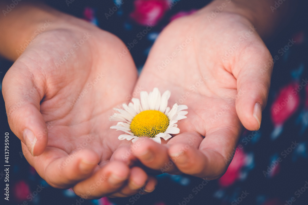 Midsection of girl holding flower while sitting outdoors Midsection of girl holding flower while sitting outdoors