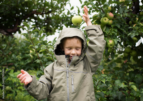 Playful boy wearing raincoat dropping apple on head against fruit trees at orchard photo