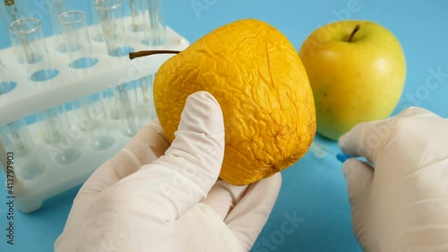 apple in genetic engineering laboratory with syringe and test tubes on blue background, gmo food concept