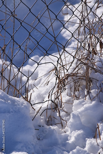Принти на полотні Loophole in the Fence