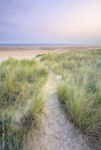Fototapeta Naklejka Na Ścianę i Meble -  Holme Dune Path
