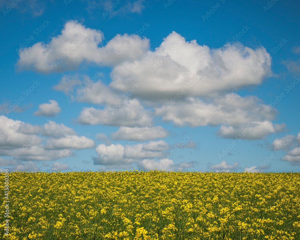 Oilfield Rape and Cloud