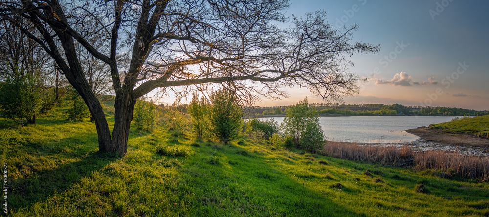 Summer moring among fields Summer moring among fields