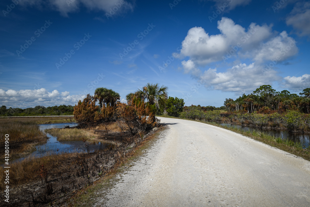 Beautiful Floridian winter landscape Beautiful Floridian winter landscape