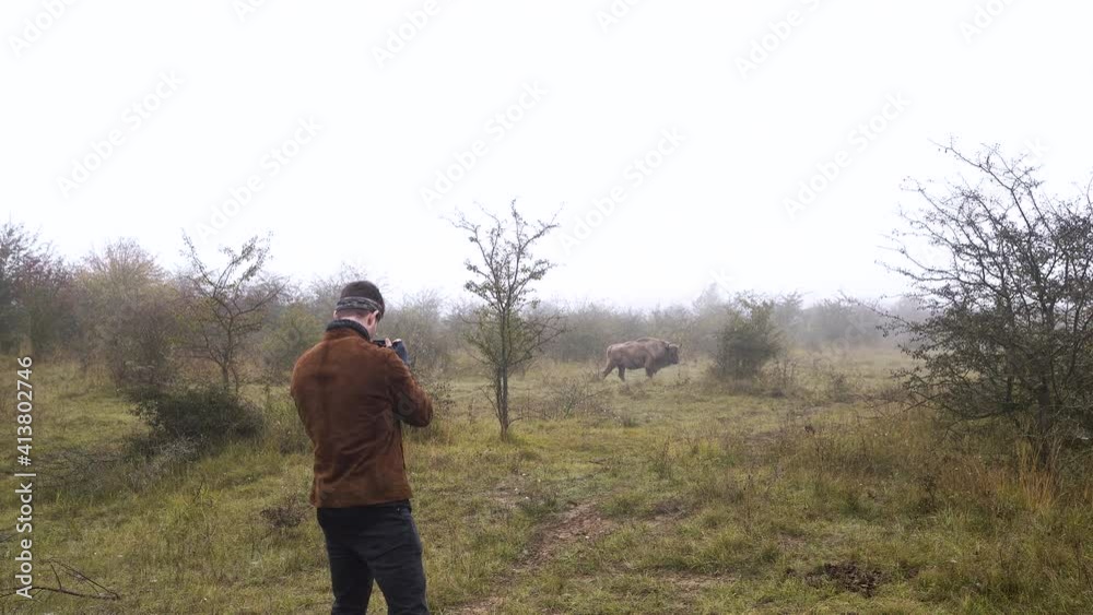 Photographer taking photos of a walking bison bull in a misty steppe. Photographer taking photos of a walking bison bull in a misty steppe.