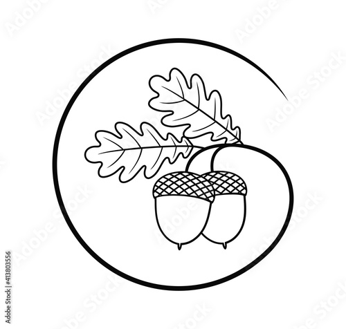Acorn outline. Isolated acorn outline on white background