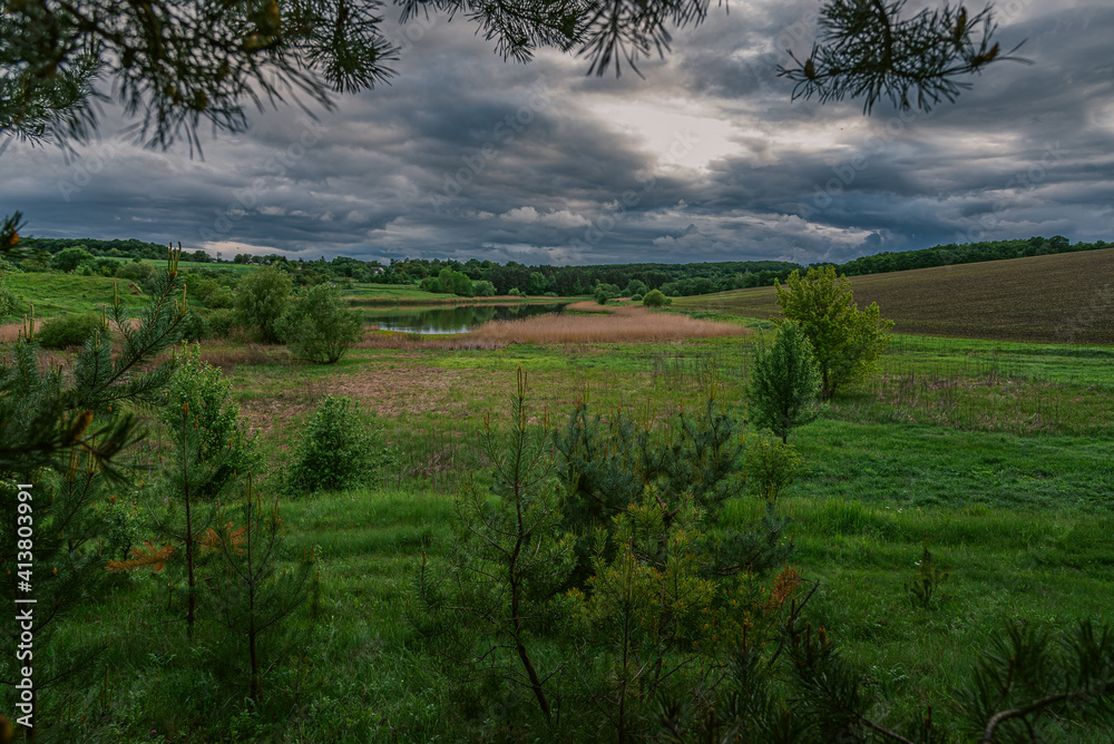 Summer landscape Summer landscape