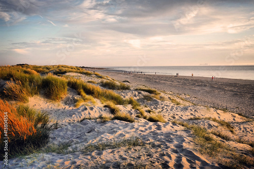 The sand dunes at West Wittering beach, West Sussex, UK photo