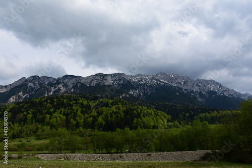 Forest with several shades of green, with mountains in the background