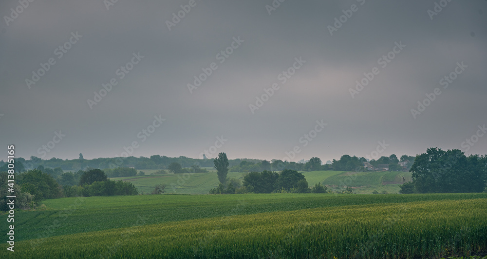 Summer moring among fields