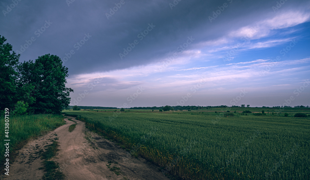 Obraz premium Summer landscape