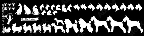 Set of pet icons. Miscellaneous signs of cats, dogs, parrot and cat and dog noses. Vector Illustration