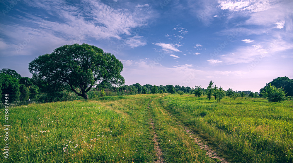 Obraz premium Summer landscape
