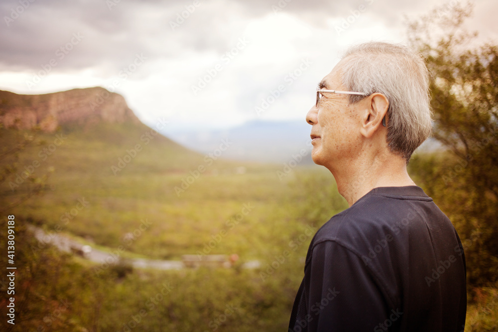 Senior man looking at forest Senior man looking at forest