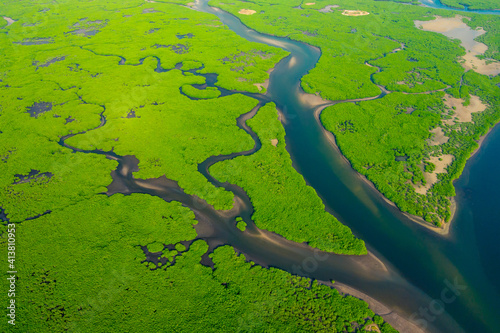 Aerial View of Green Mangrove Forest. Nature Landscape. Tropical Rainforest.