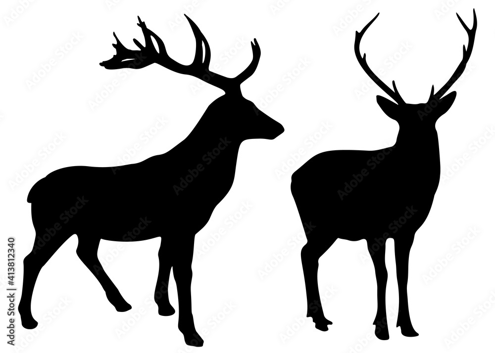 Wild deer in the set. Vector image. Wild deer in the set. Vector image.