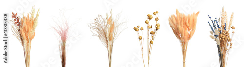 Set with beautiful decorative dry flowers on white background, banner design