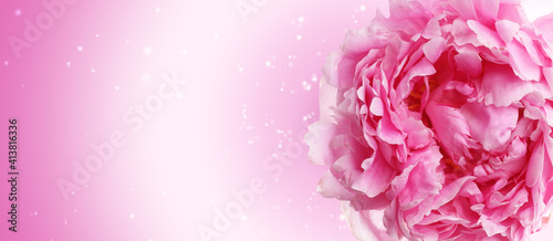 Beautiful peony flower on color background  space for text. Floral card design