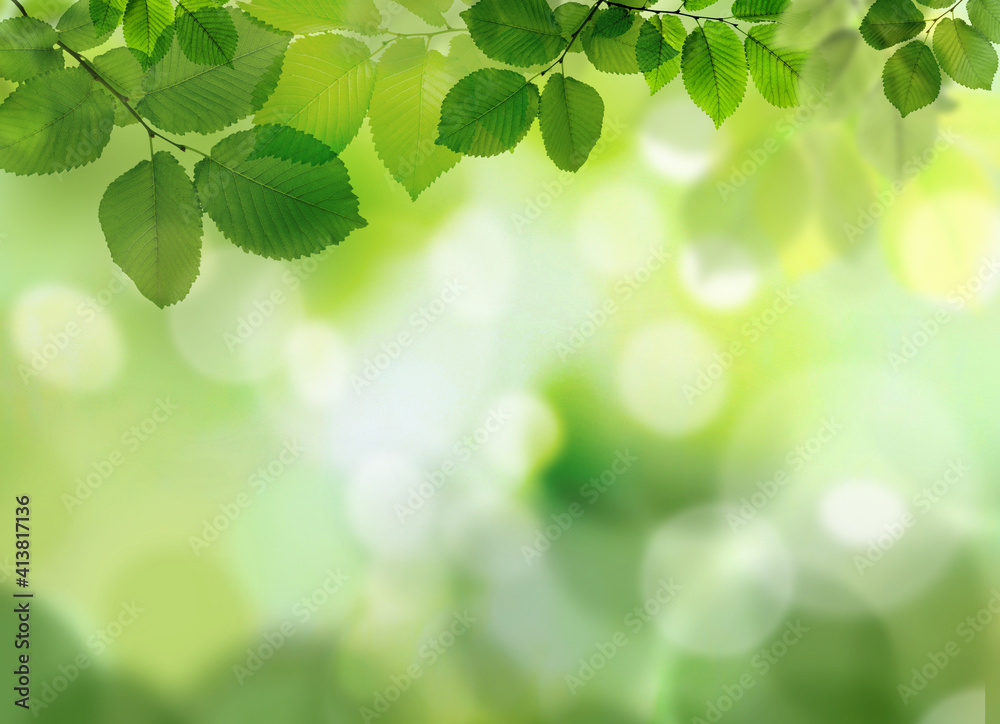 Beautiful green leaves on blurred background, space for text. Spring season Beautiful green leaves on blurred background, space for text. Spring season